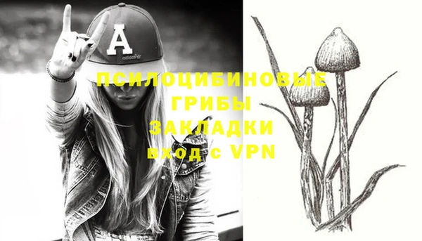 PSILOCYBIN Ступино