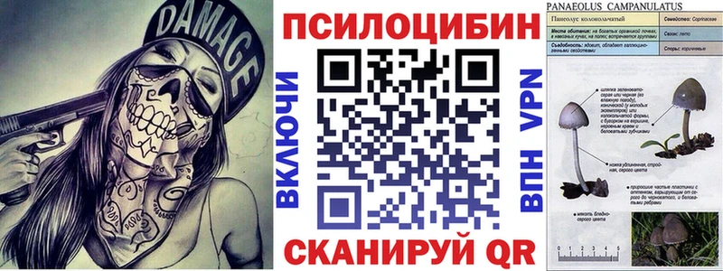 omg ссылка  Харовск  Псилоцибиновые грибы мухоморы 